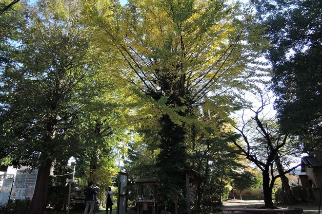 越谷香取神社にお宮参りに来た家族