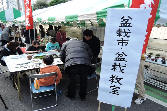 盆栽教室