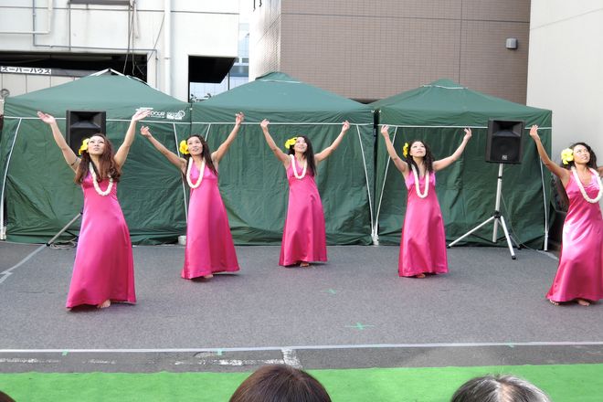 フラ演舞