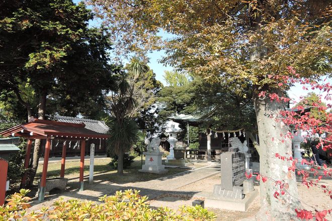 石神井神社の境内