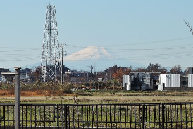 石神井神社からは富士山も見えます。