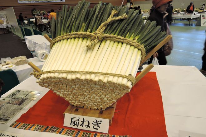 扇ねぎ