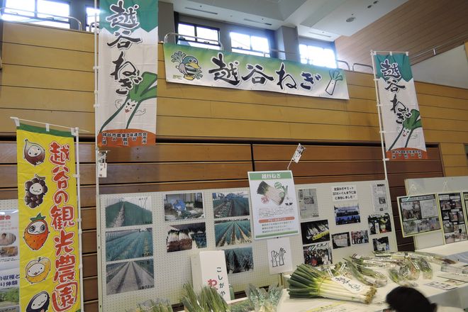 越谷ねぎ