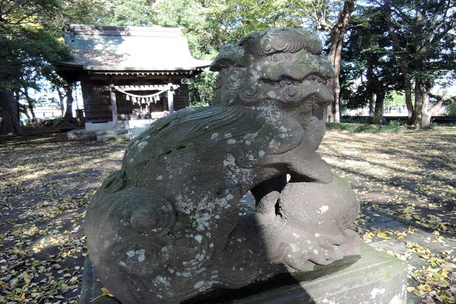 狛犬(吽)