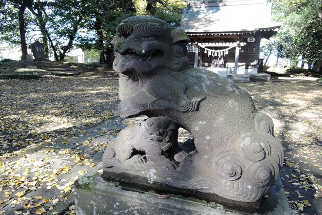 狛犬(阿)