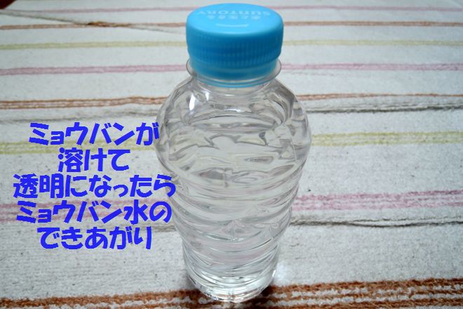 ミョウバン液