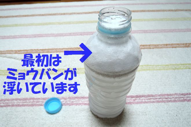 ミョウバンは数日で水に溶けます。